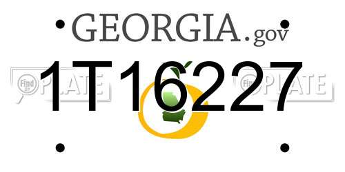 1T16227 Georgia License Plate