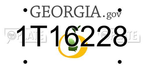 1T16228 Georgia License Plate