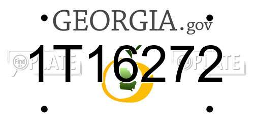 1T16272 Georgia License Plate
