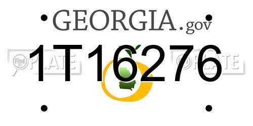 1T16276 Georgia License Plate