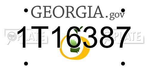 1T16387 Georgia License Plate