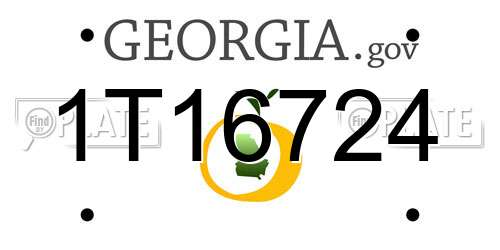 1T16724 Georgia License Plate