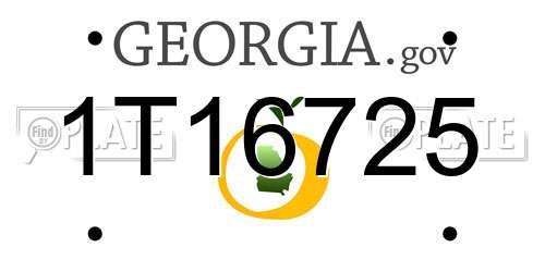 1T16725 Georgia License Plate