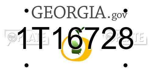 1T16728 Georgia License Plate