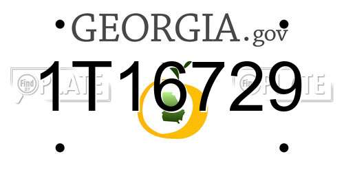 1T16729 Georgia License Plate