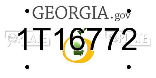 1T16772 Georgia License Plate