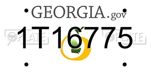 1T16775 Georgia License Plate