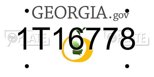 1T16778 Georgia License Plate