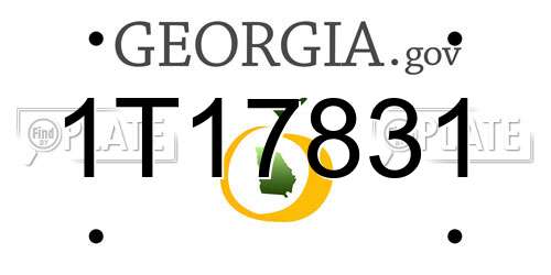1T17831 Georgia License Plate