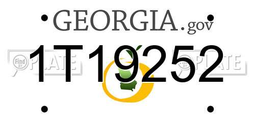 1T19252 Georgia License Plate