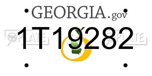 1T19282 Georgia License Plate