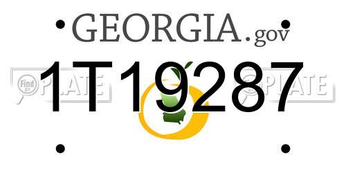 1T19287 Georgia License Plate