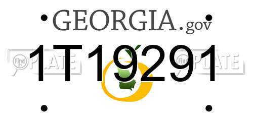 1T19291 Georgia License Plate