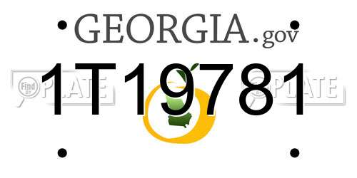 1T19781 Georgia License Plate