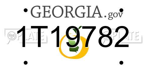 1T19782 Georgia License Plate
