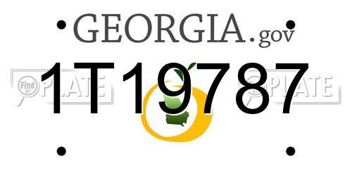 1T19787 Georgia License Plate