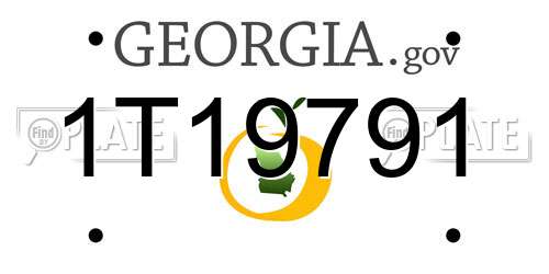 1T19791 Georgia License Plate