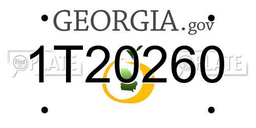 1T20260 Georgia License Plate