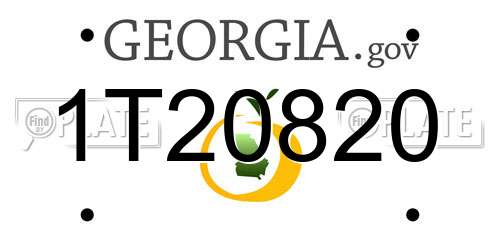 1T20820 Georgia License Plate