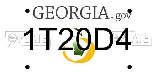 1T20D4 Georgia License Plate