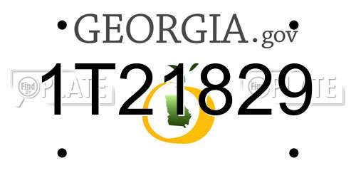 1T21829 Georgia License Plate