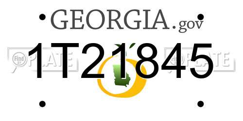 1T21845 Georgia License Plate