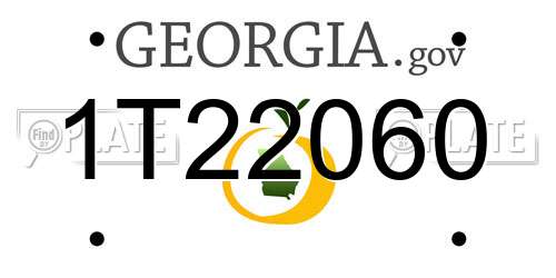 1T22060 Georgia License Plate