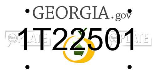 1T22501 Georgia License Plate