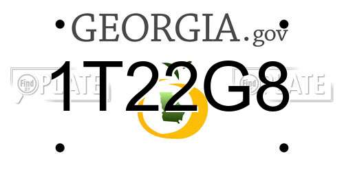 1T22G8 Georgia License Plate