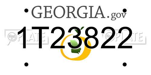1T23822 Georgia License Plate
