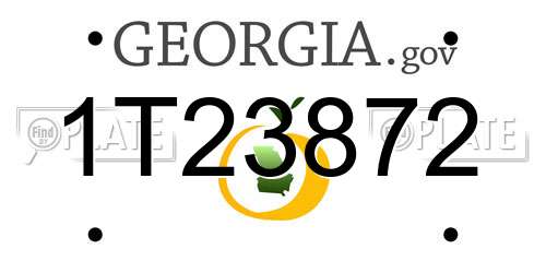 1T23872 Georgia License Plate