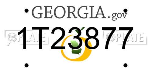 1T23877 Georgia License Plate