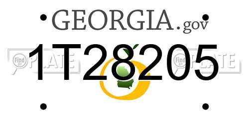 1T28205 Georgia License Plate