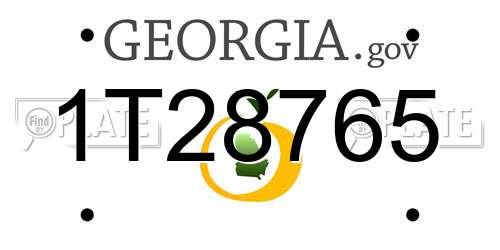 1T28765 Georgia License Plate