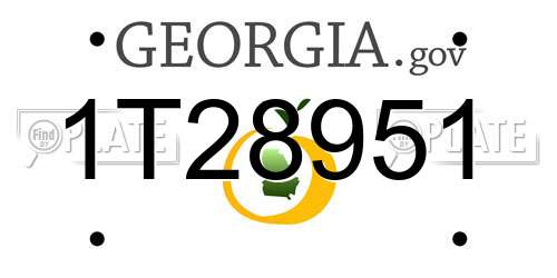 1T28951 Georgia License Plate