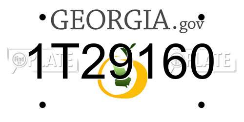 1T29160 Georgia License Plate