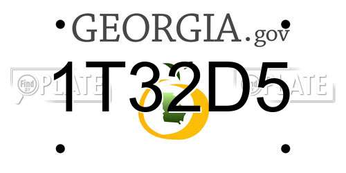 1T32D5 Georgia License Plate