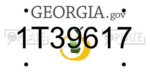 1T39617 Georgia License Plate