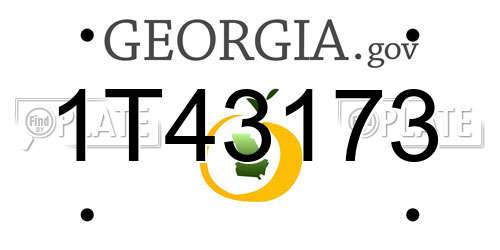 1T43173 Georgia License Plate