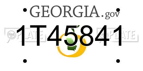 1T45841 Georgia License Plate