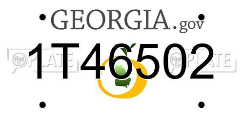 1T46502 Georgia License Plate