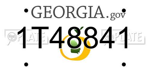 1T48841 Georgia License Plate