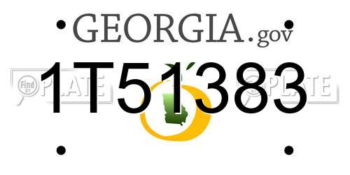 1T51383 Georgia License Plate