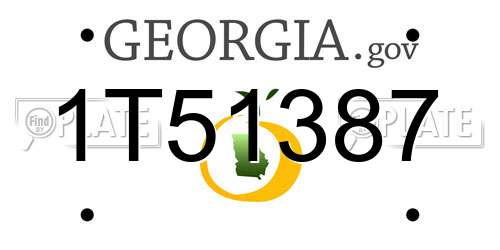 1T51387 Georgia License Plate