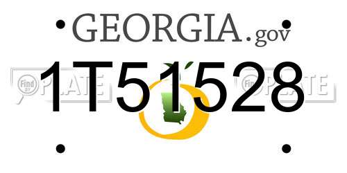1T51528 Georgia License Plate