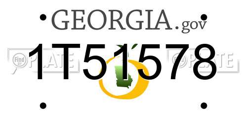 1T51578 Georgia License Plate