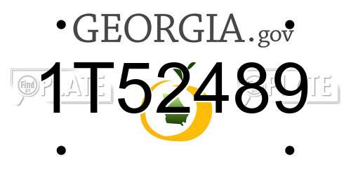 1T52489 Georgia License Plate