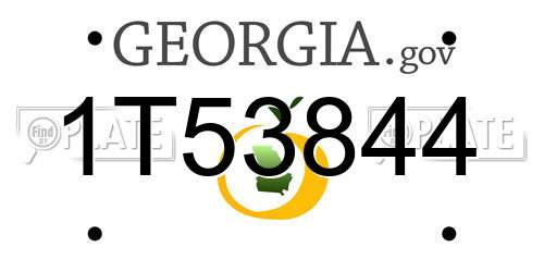 1T53844 Georgia License Plate