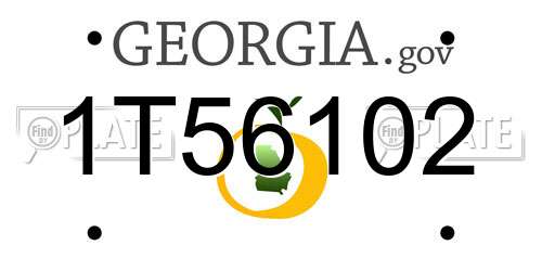1T56102 Georgia License Plate
