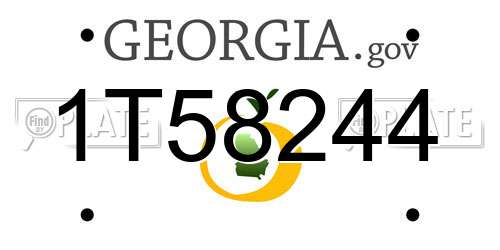 1T58244 Georgia License Plate